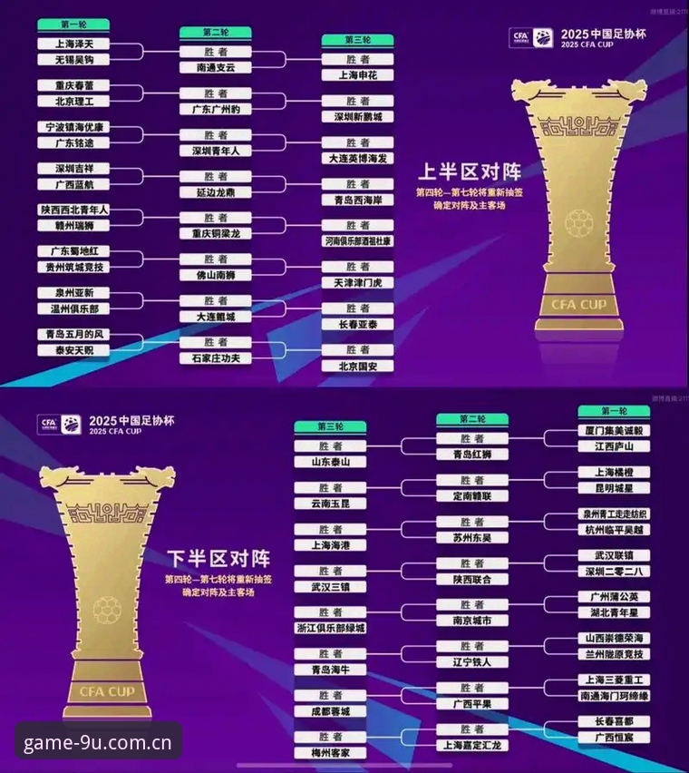 中国足协第三批禁足名单深度评测：从行业乱象看体育精神的重塑之路